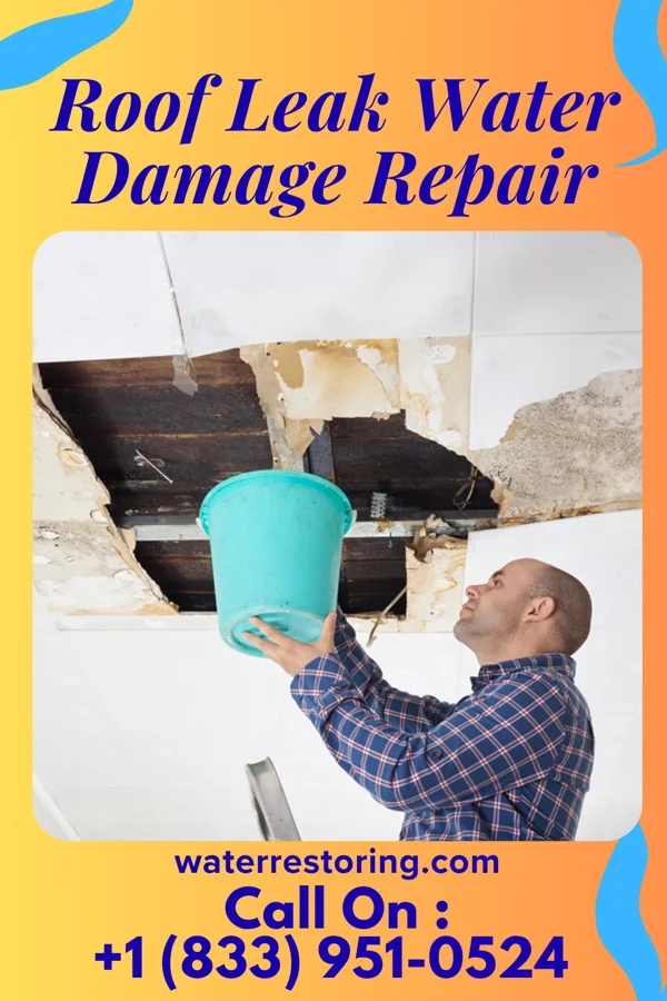 Roof Leak Water Damage Repair in Bowring, OK