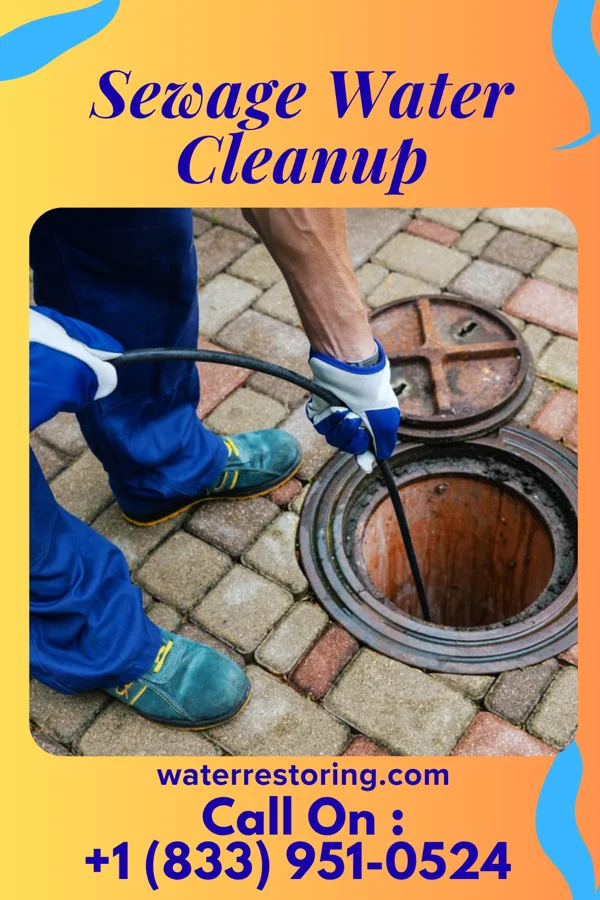 Sewage Water Cleanup in Bowring, OK